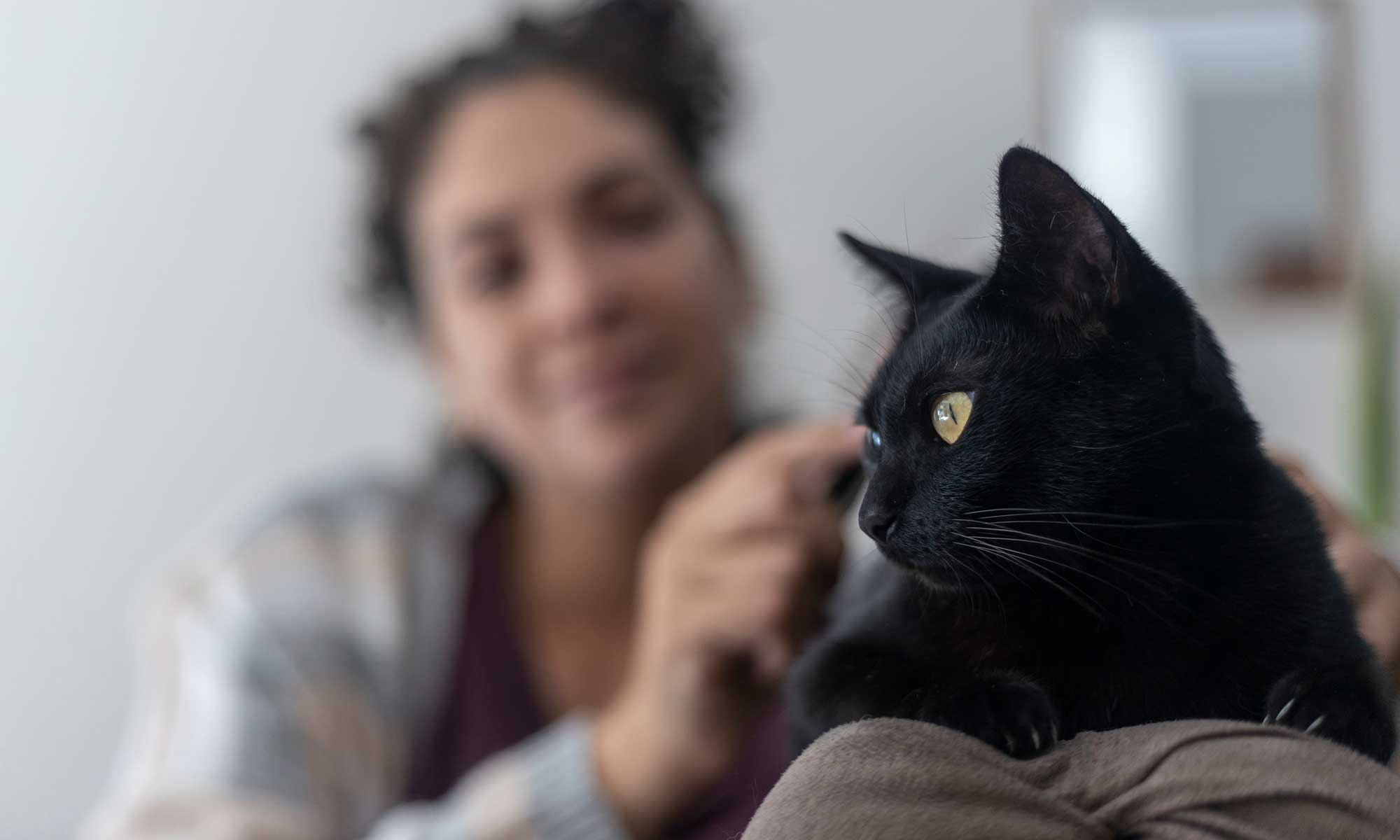 A black cat with their person