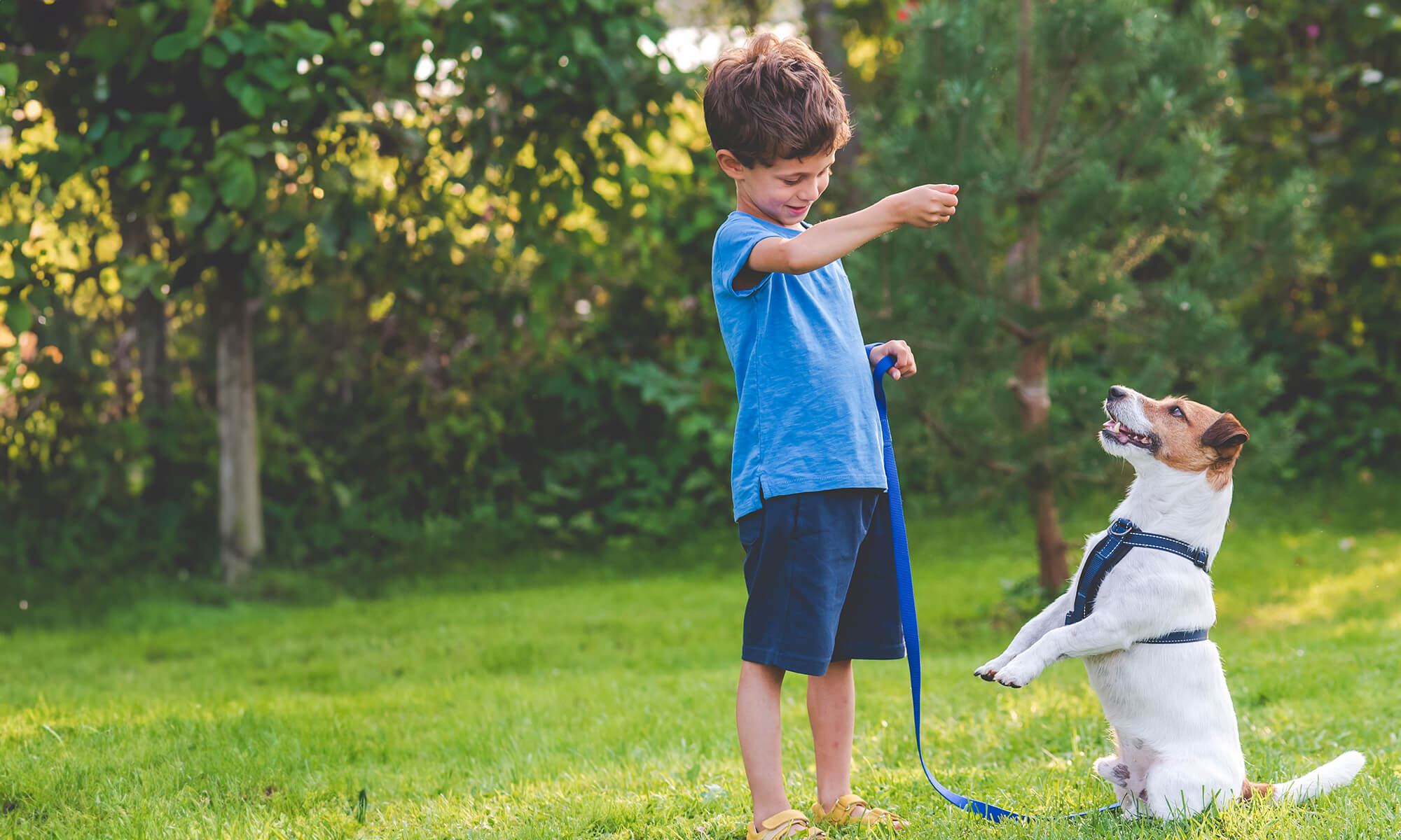 A boy playing with his dog